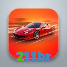 211br